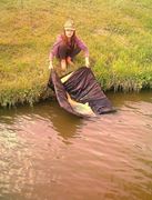 Moara Vlasiei 2 25 - 26 mai.